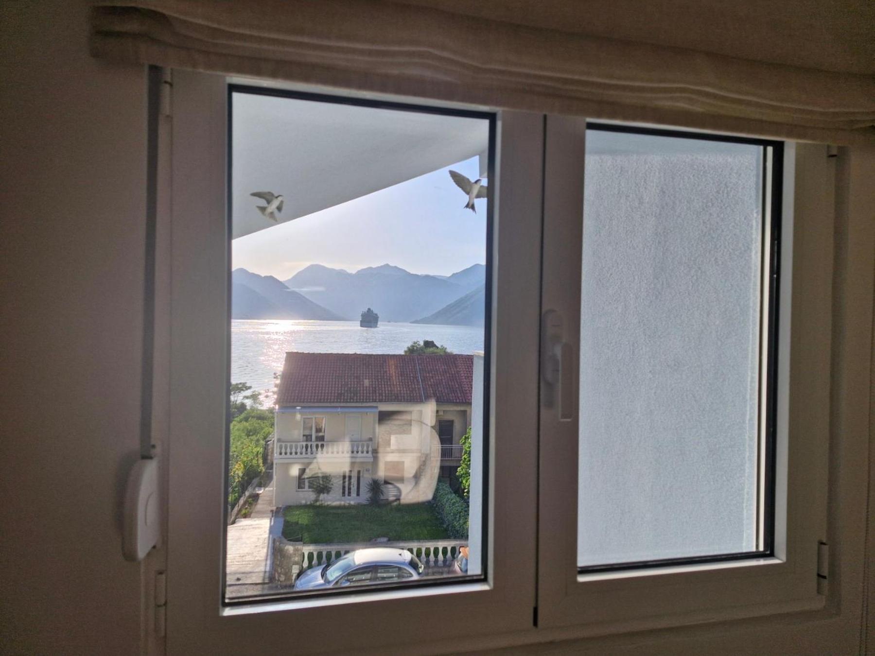 Luxury Apartment Vasilisa 科托尔 外观 照片