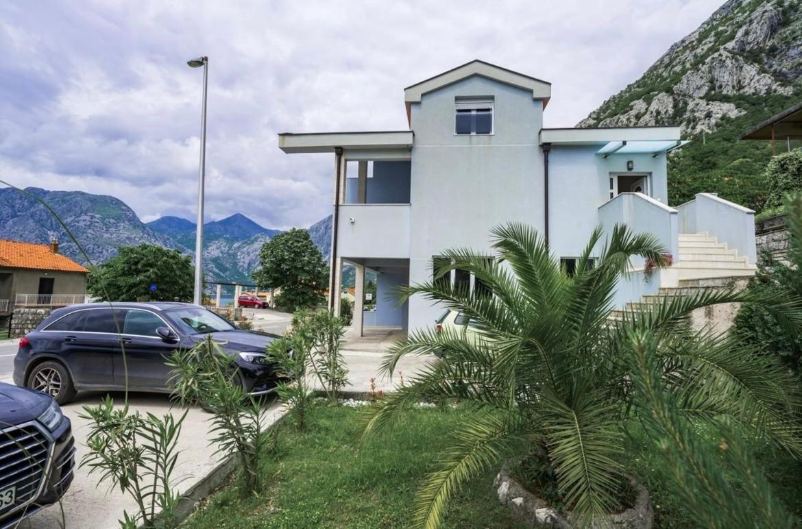 Luxury Apartment Vasilisa 科托尔 外观 照片